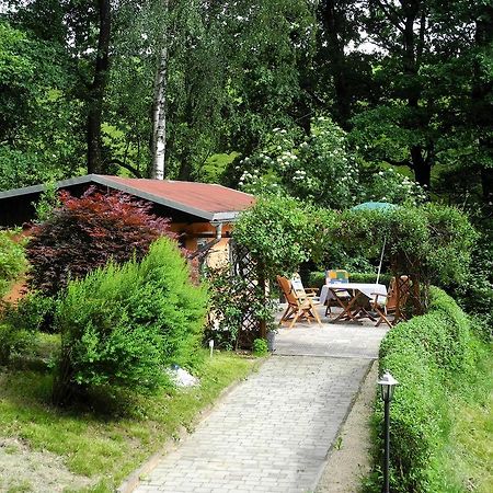 Ferienhaus Am Urzeitpark Sebnitz Hertigswalde Ngoại thất bức ảnh
