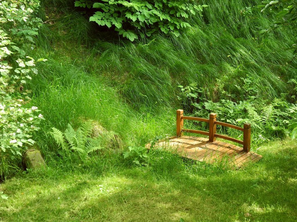 Ferienhaus Am Urzeitpark Sebnitz Hertigswalde Ngoại thất bức ảnh